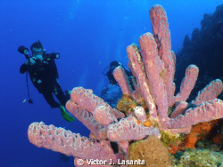 stove-pipe sponge and my friend john at carabinero wall i... by Victor J. Lasanta 